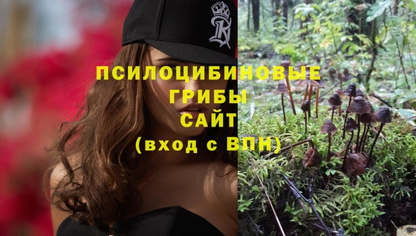 сатива Куйбышев