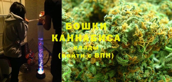 сатива Куйбышев