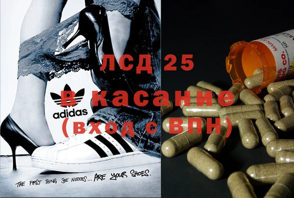 прущие крисы Кулебаки