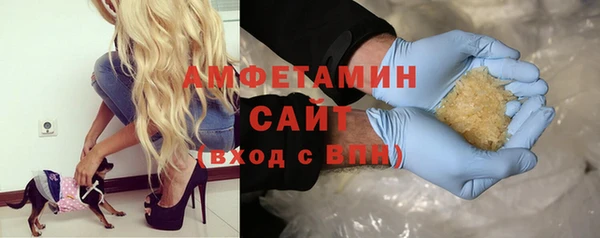 сатива Куйбышев