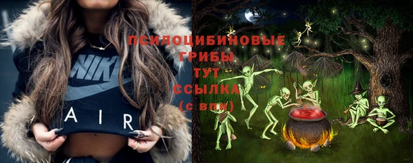эйфоретик Кукмор