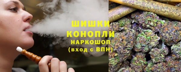 сатива Куйбышев