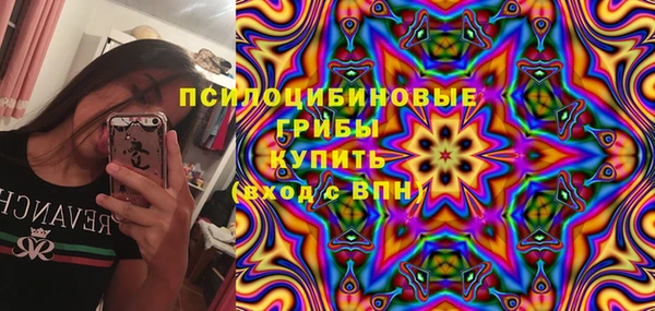 прущие крисы Кулебаки