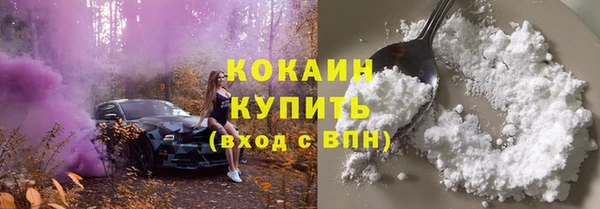 сатива Куйбышев