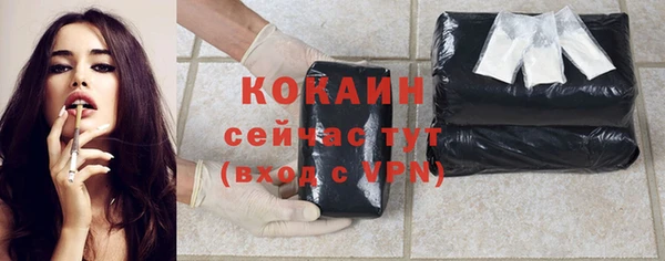 сатива Куйбышев