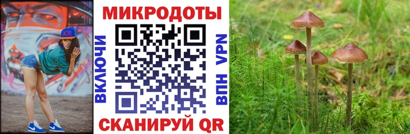 дарнет шоп  Томмот  blacksprut онион  Галлюциногенные грибы MAGIC MUSHROOMS 